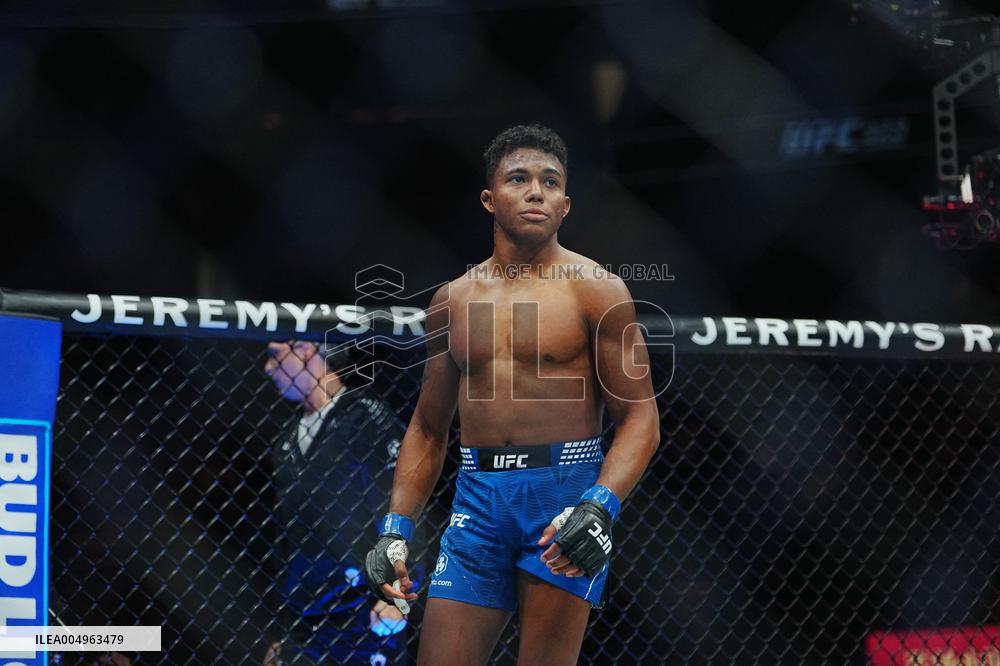 UFC 323 - Dvalishvili vs Yan 2