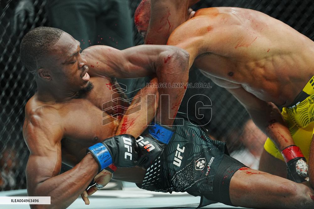 UFC 323 - Dvalishvili vs Yan 2