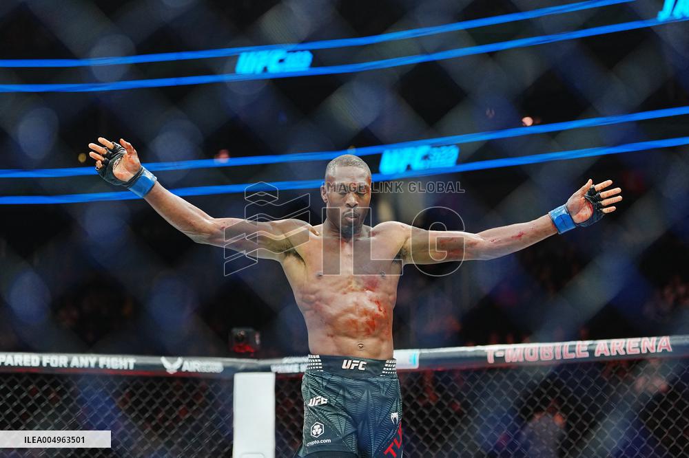 UFC 323 - Dvalishvili vs Yan 2