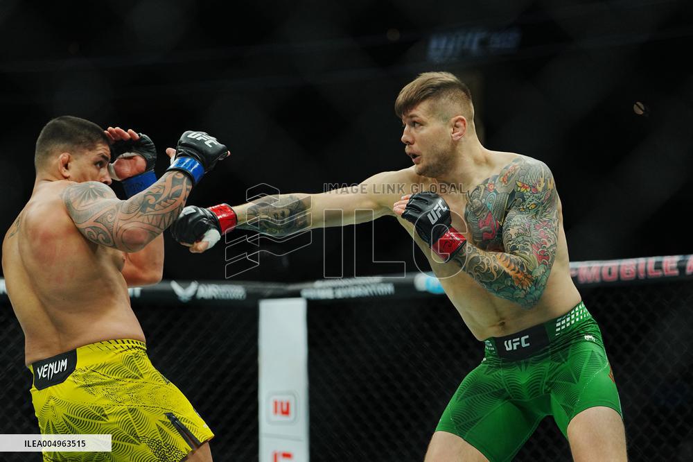 UFC 323 - Dvalishvili vs Yan 2