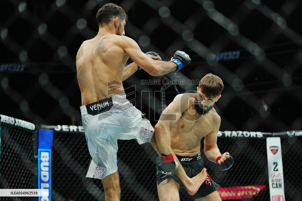 UFC 323 - Dvalishvili vs Yan 2