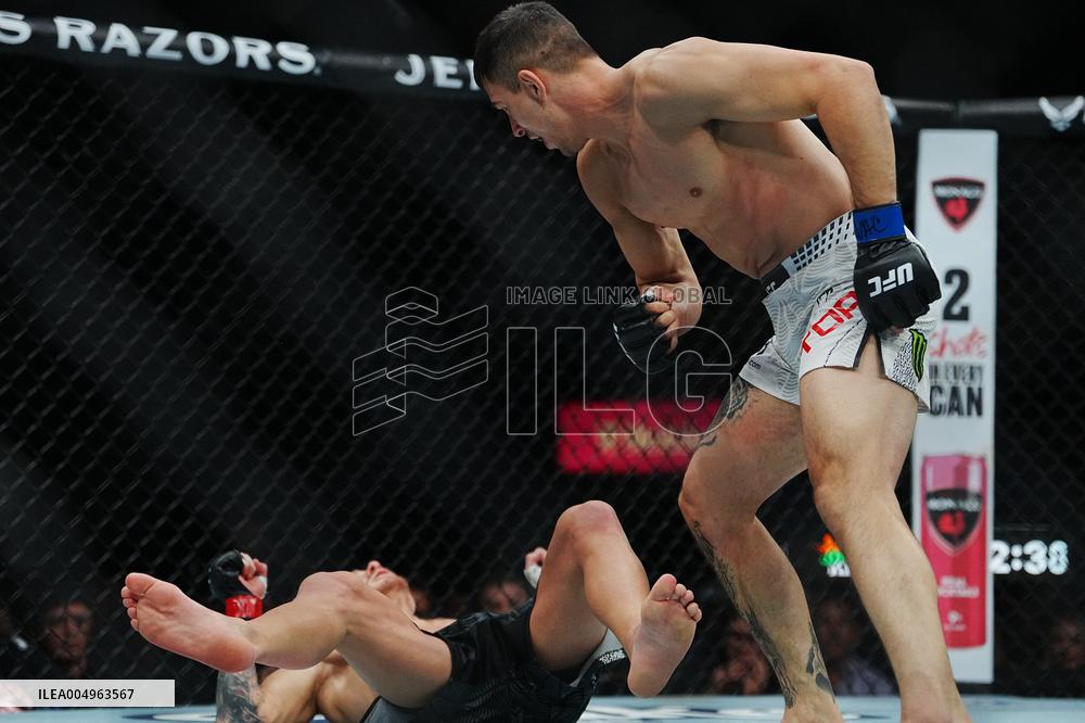 UFC 323 - Dvalishvili vs Yan 2