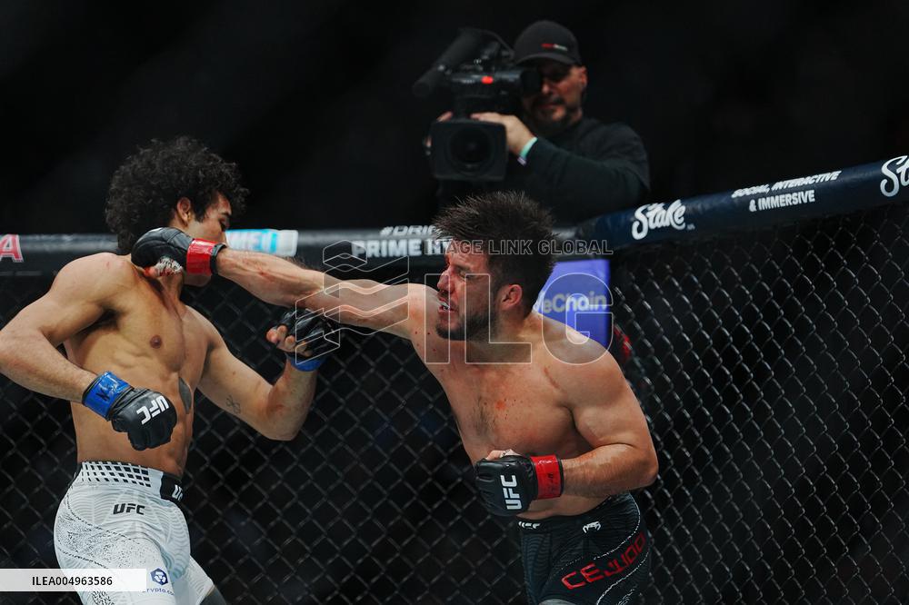 UFC 323 - Dvalishvili vs Yan 2