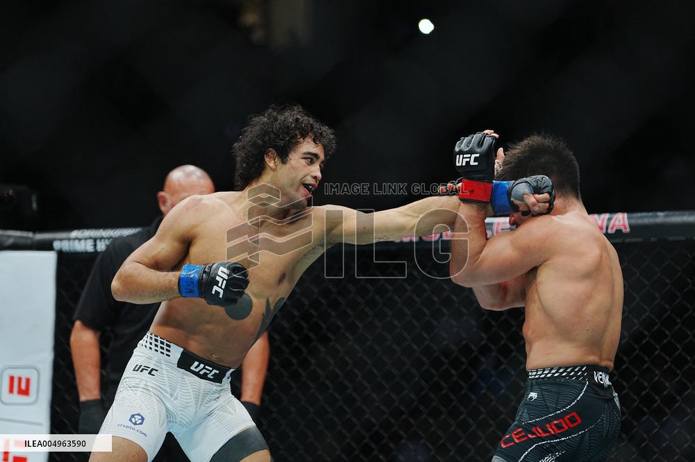 UFC 323 - Dvalishvili vs Yan 2