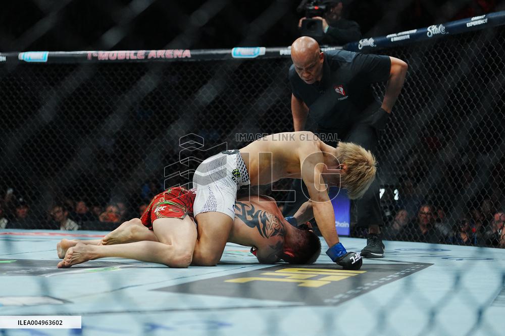 UFC 323 - Dvalishvili vs Yan 2