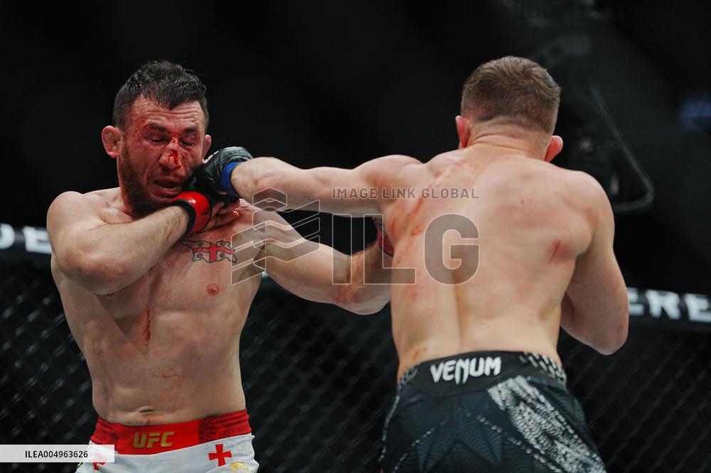 UFC 323 - Dvalishvili vs Yan 2