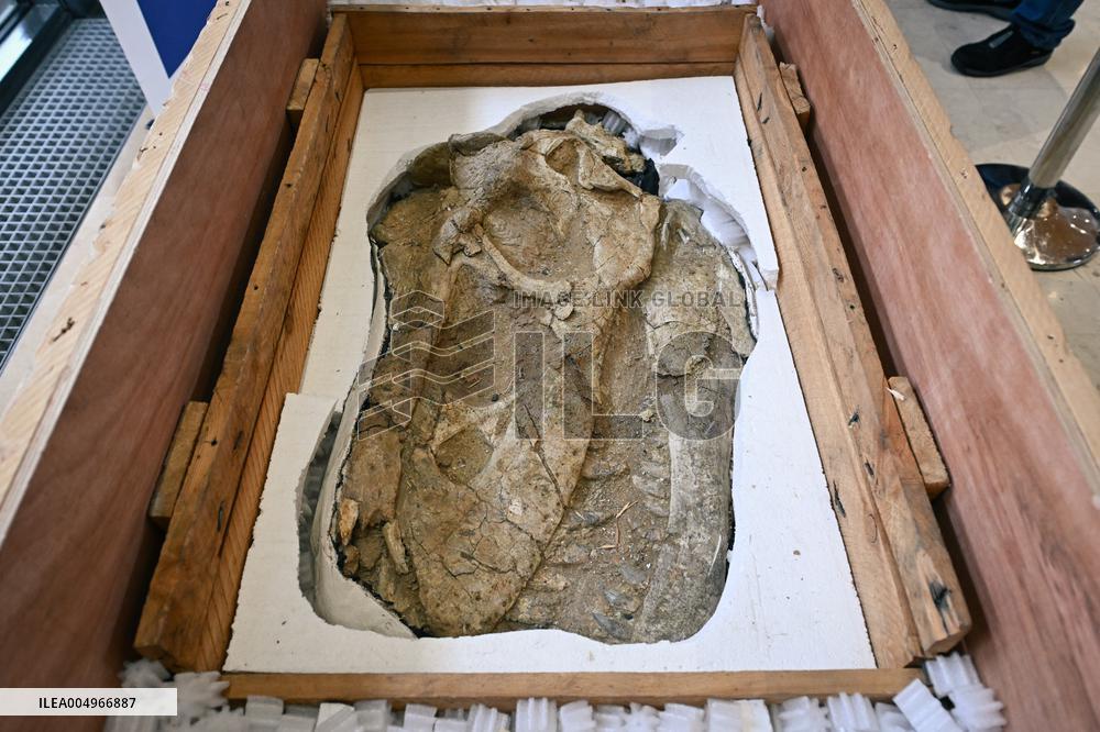 Return of prehistoric cultural property to the Mongolian authorities in Paris FA