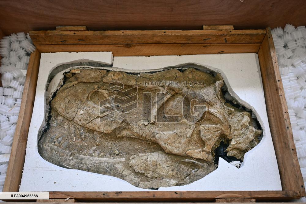 Return of prehistoric cultural property to the Mongolian authorities in Paris FA