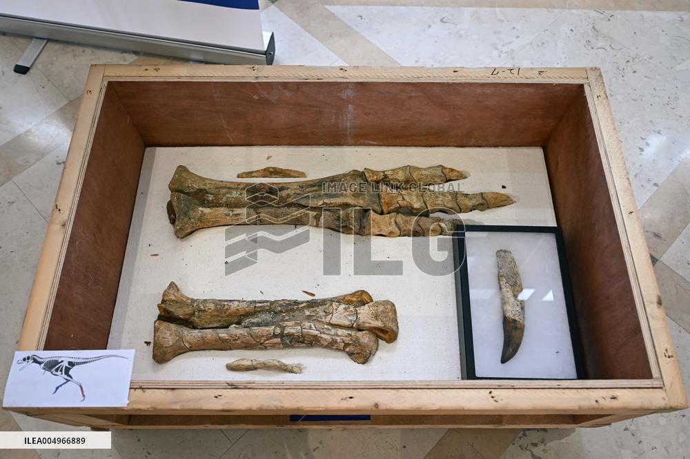 Return of prehistoric cultural property to the Mongolian authorities in Paris FA