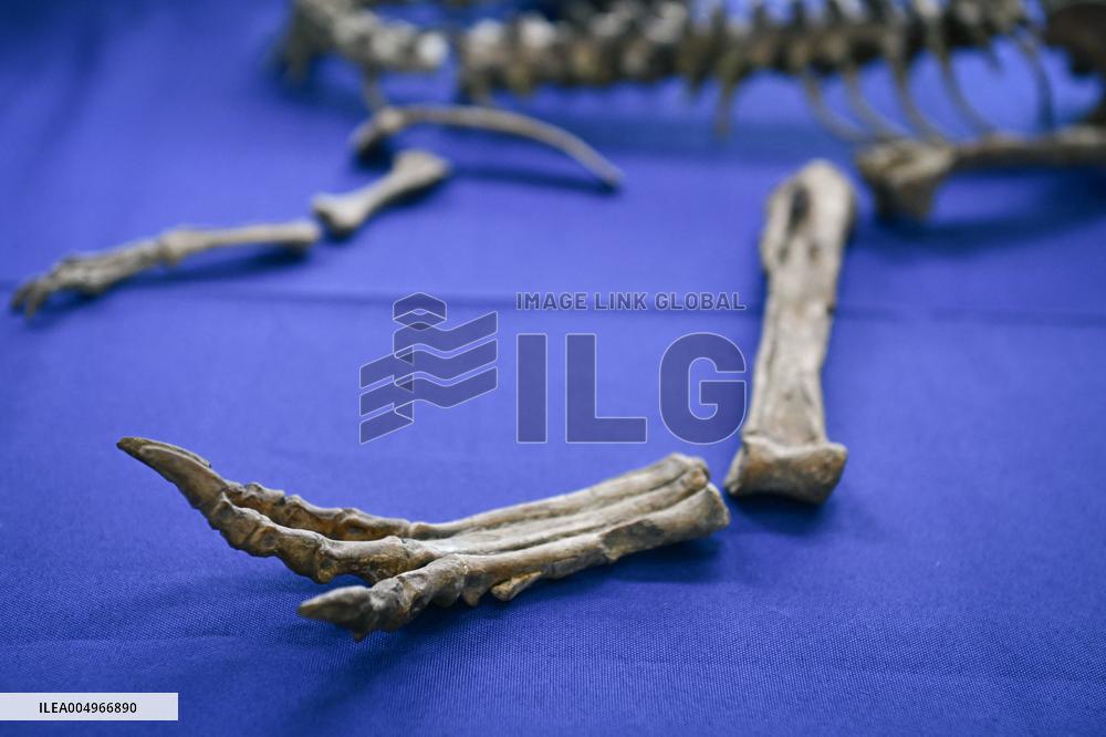 Return of prehistoric cultural property to the Mongolian authorities in Paris FA