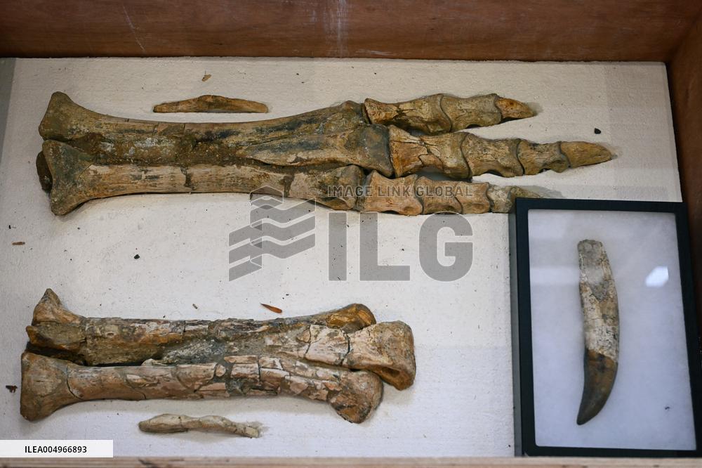 Return of prehistoric cultural property to the Mongolian authorities in Paris FA