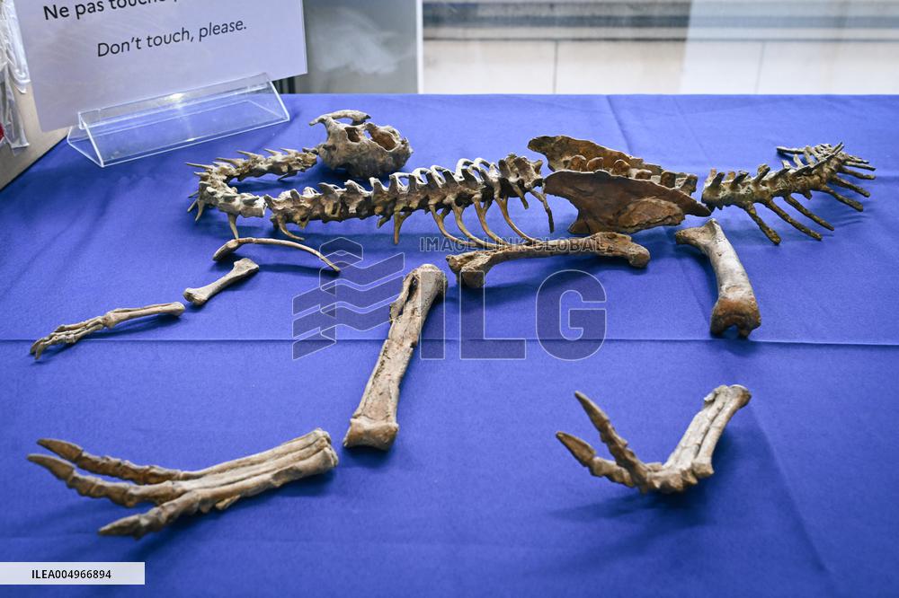 Return of prehistoric cultural property to the Mongolian authorities in Paris FA