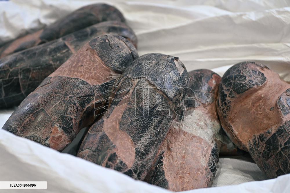 Return of prehistoric cultural property to the Mongolian authorities in Paris FA