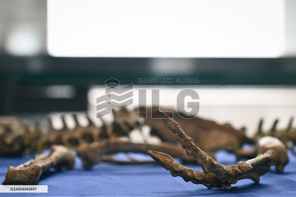 Return of prehistoric cultural property to the Mongolian authorities in Paris FA