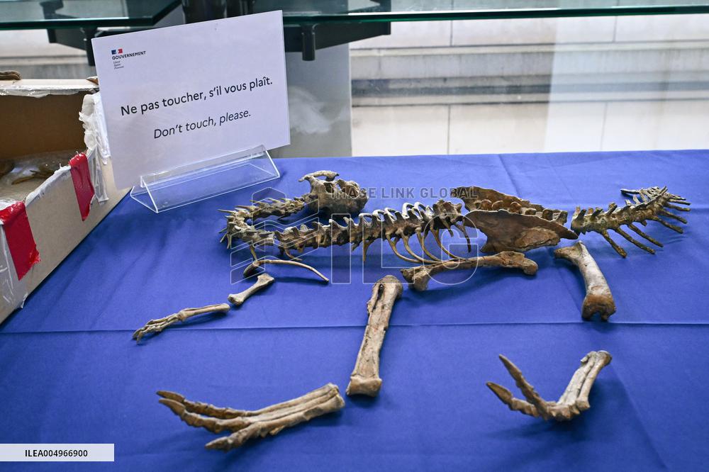 Return of prehistoric cultural property to the Mongolian authorities in Paris FA