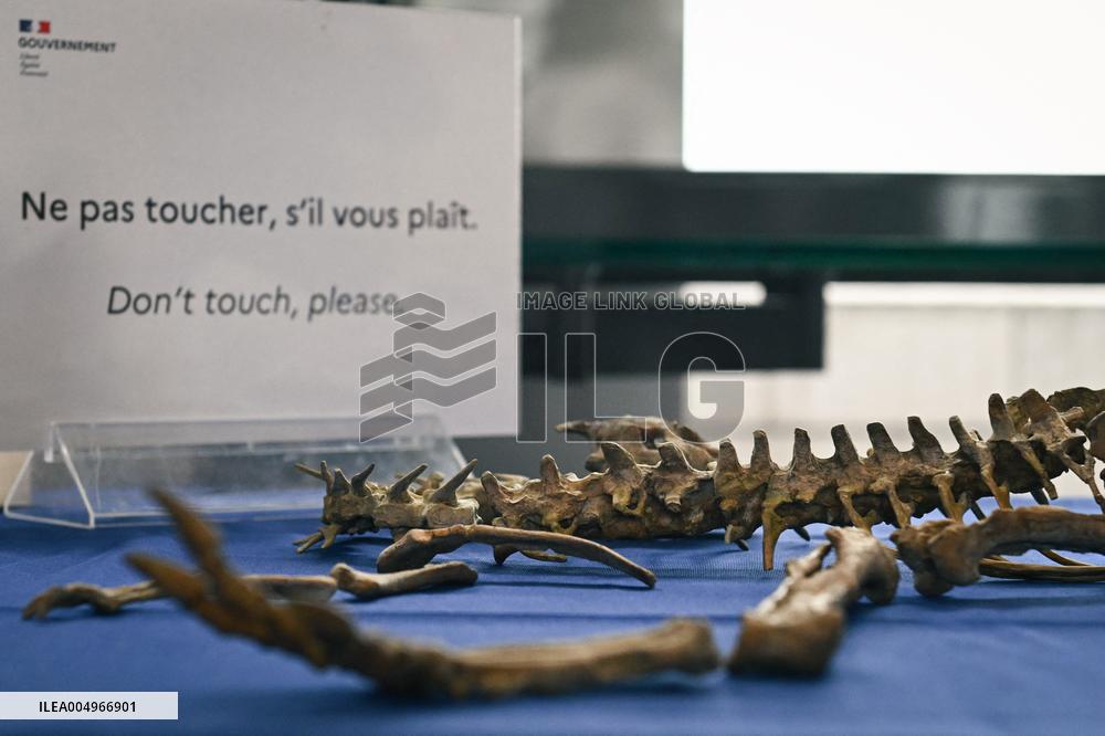 Return of prehistoric cultural property to the Mongolian authorities in Paris FA