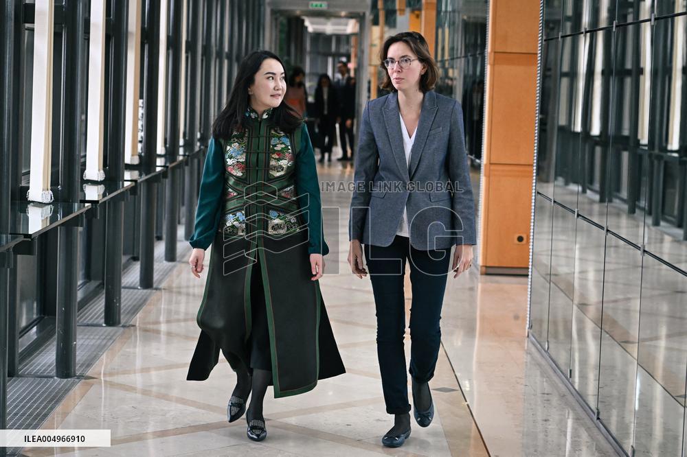 Return of prehistoric cultural property to the Mongolian authorities in Paris FA