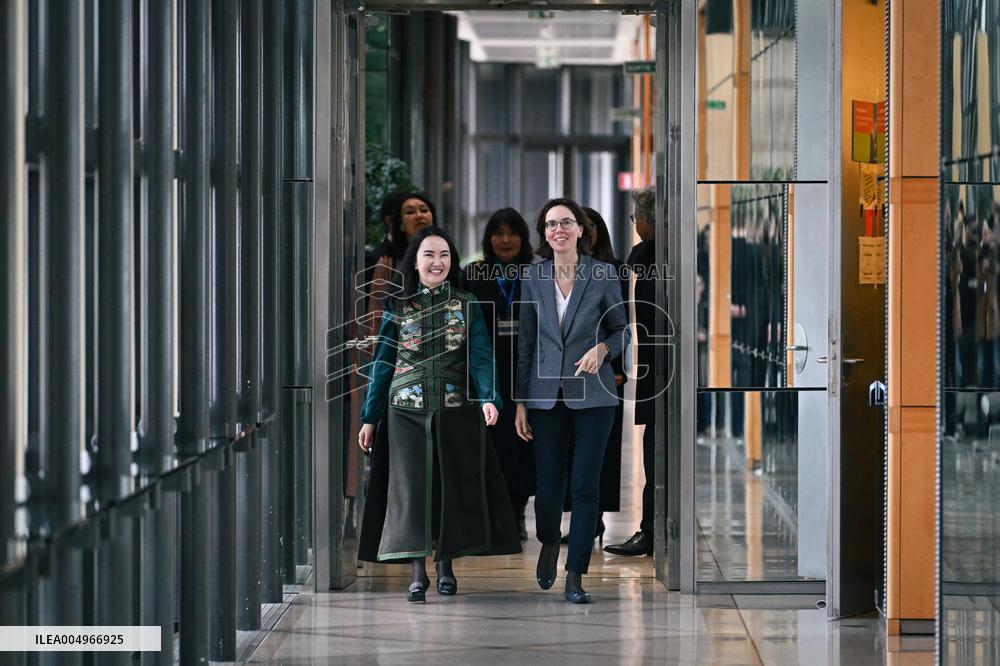 Return of prehistoric cultural property to the Mongolian authorities in Paris FA