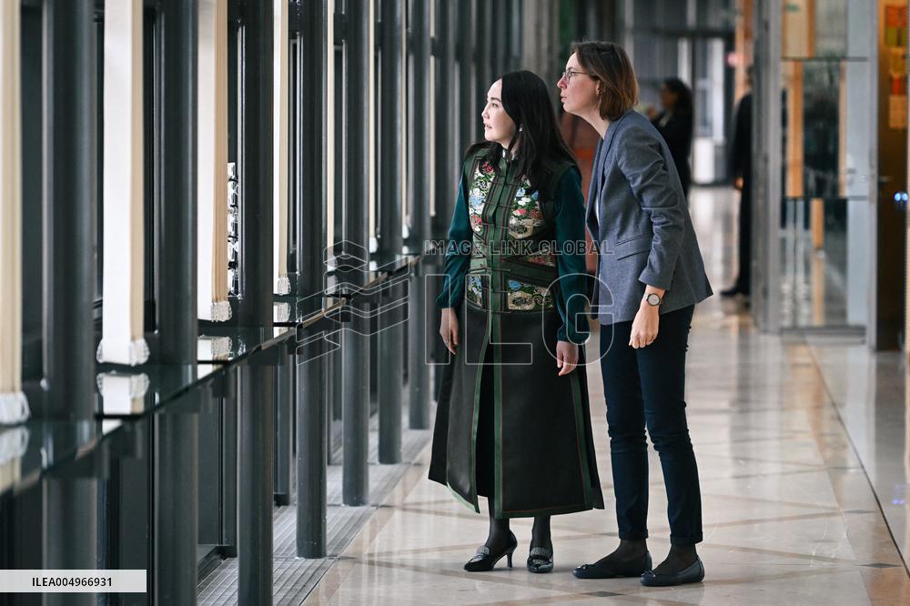 Return of prehistoric cultural property to the Mongolian authorities in Paris FA