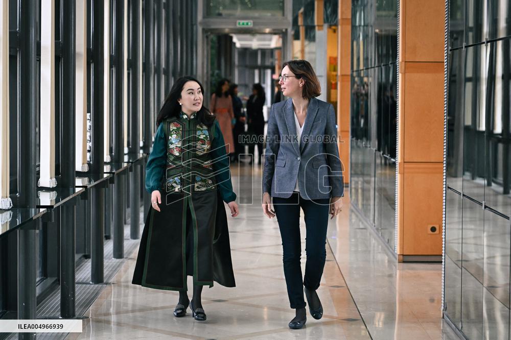 Return of prehistoric cultural property to the Mongolian authorities in Paris FA