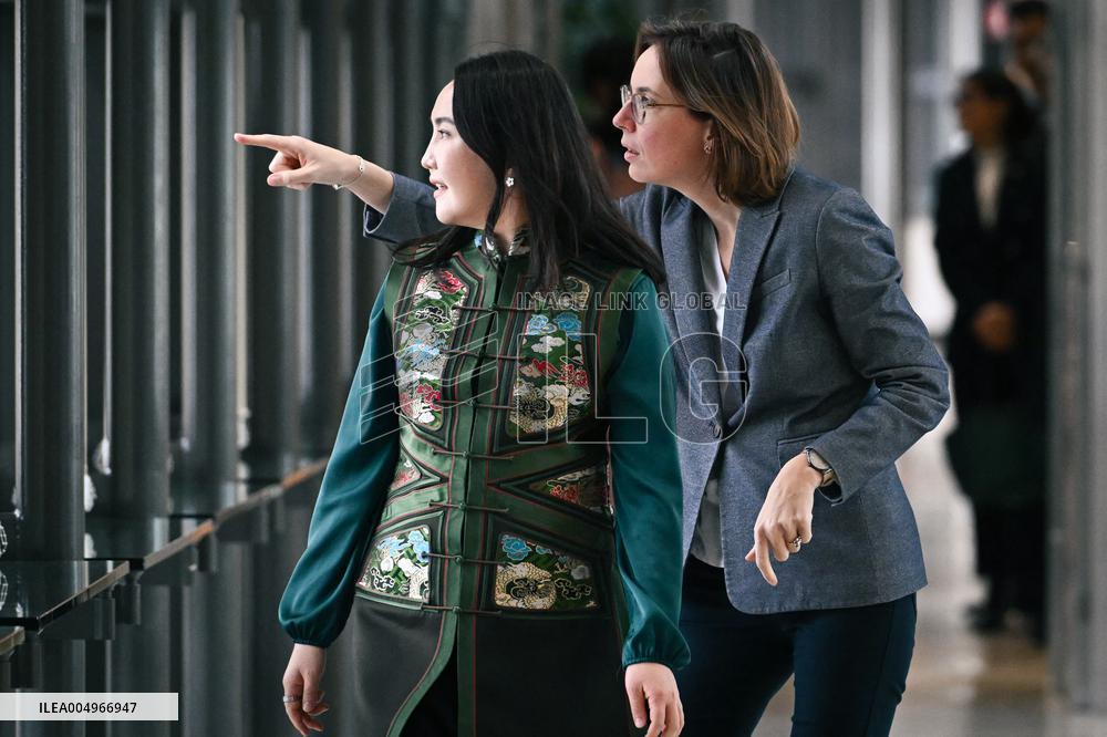 Return of prehistoric cultural property to the Mongolian authorities in Paris FA