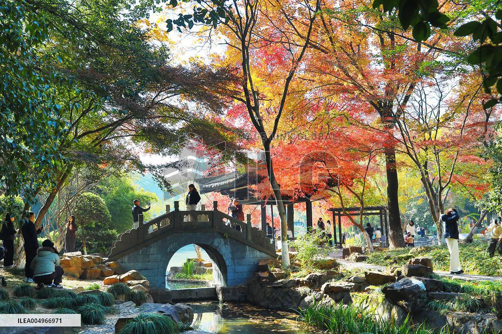 #CHINA-WINTER SCENERY (CN)