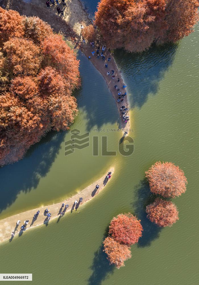 #CHINA-WINTER SCENERY (CN)