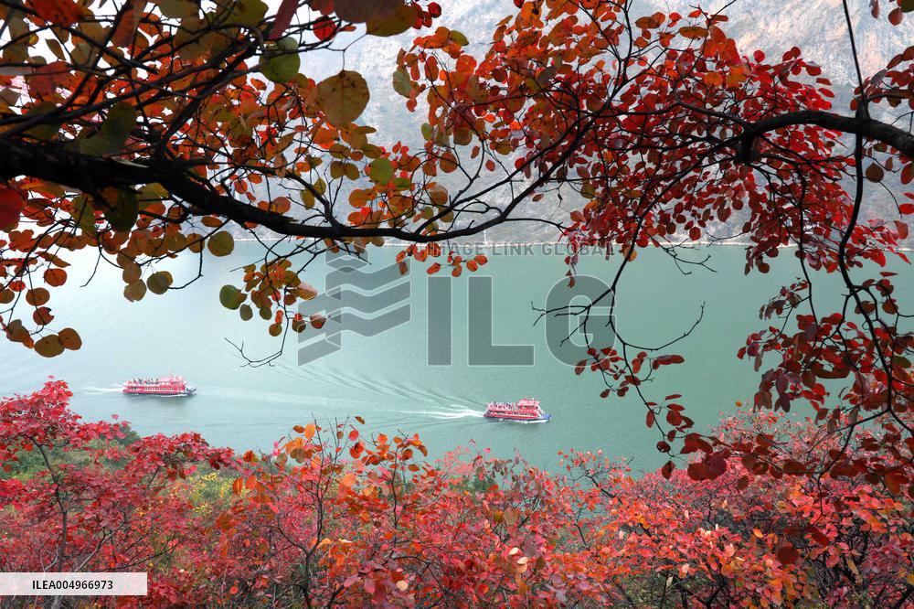 #CHINA-WINTER SCENERY (CN)