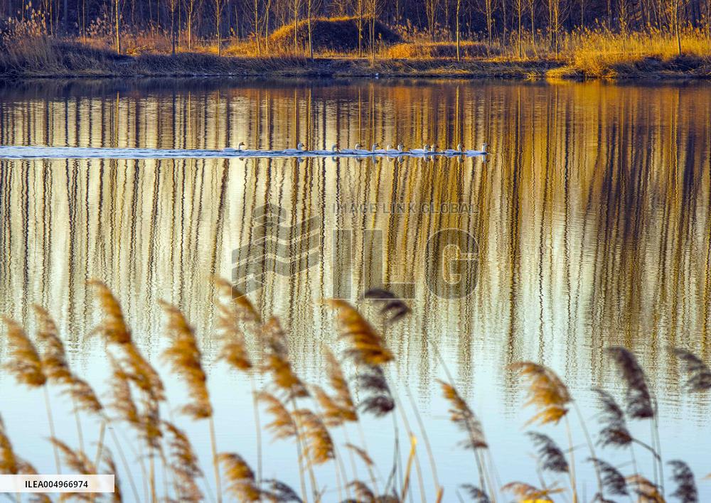 #CHINA-WINTER SCENERY (CN)