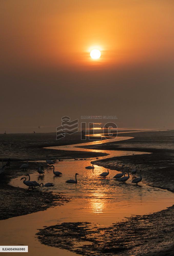 #CHINA-WINTER SCENERY (CN)