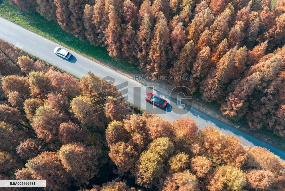 #CHINA-WINTER SCENERY (CN)