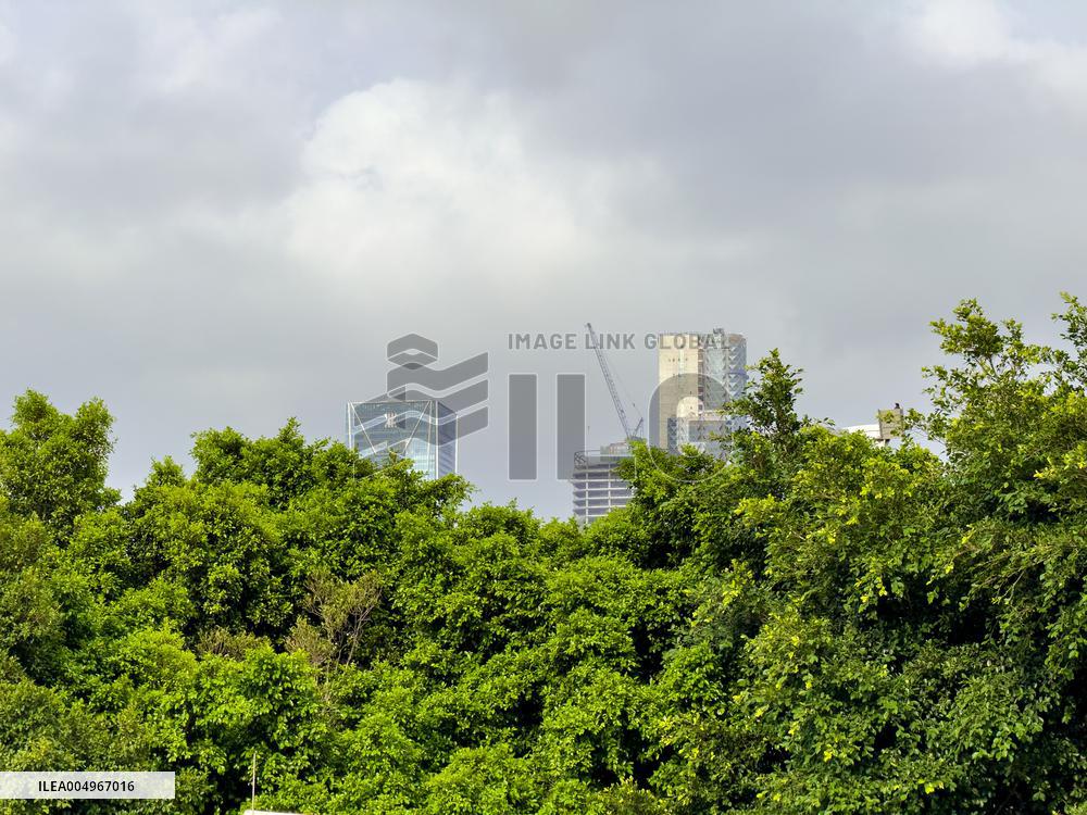 Landmark Building Complex in Shenzhen