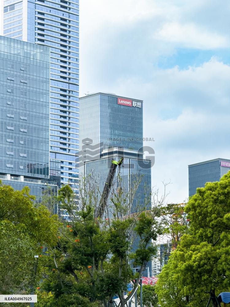 Landmark Building Complex in Shenzhen