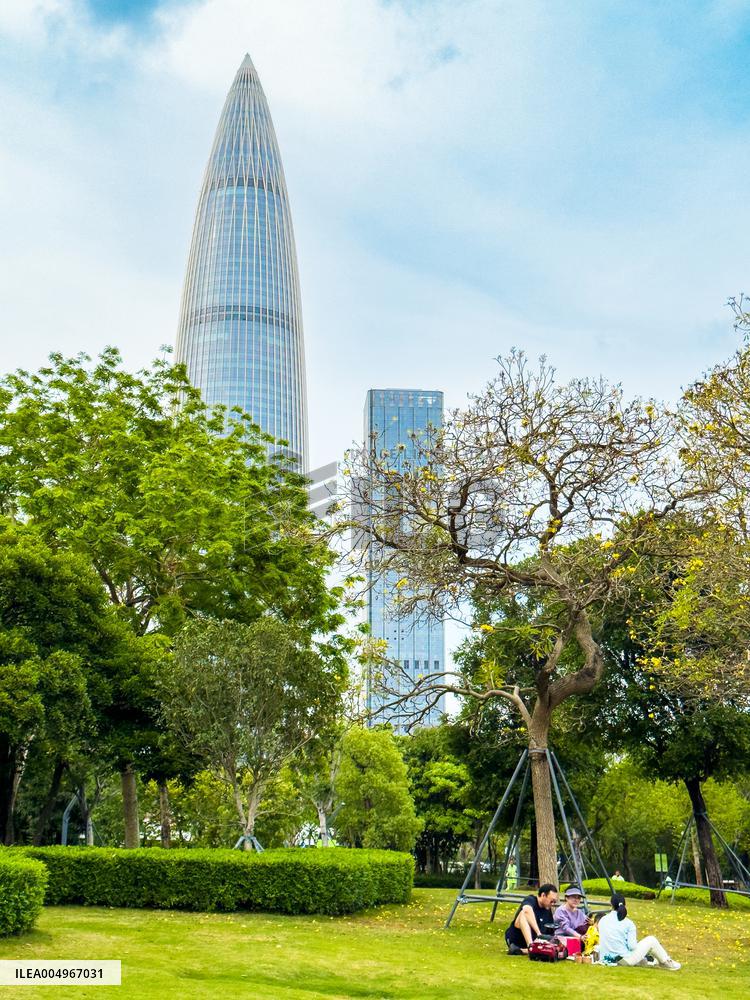 Landmark Building Complex in Shenzhen