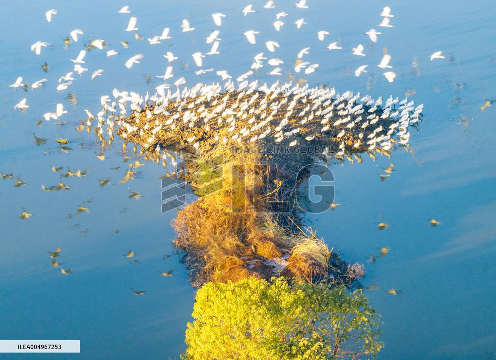 Winter Scenery - China