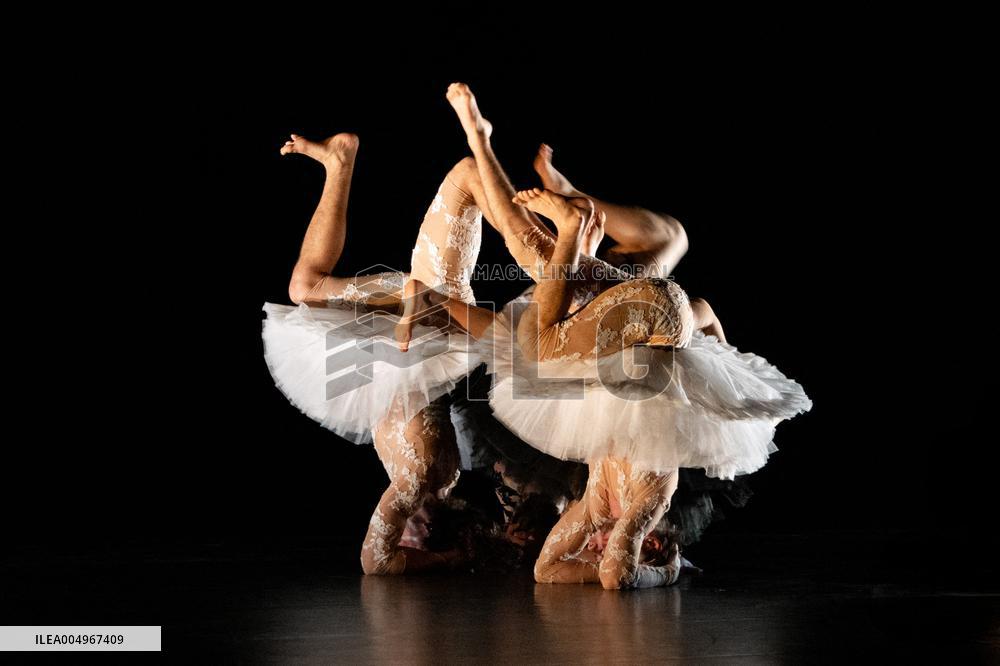 Swan Lake from Florence Caillon - France