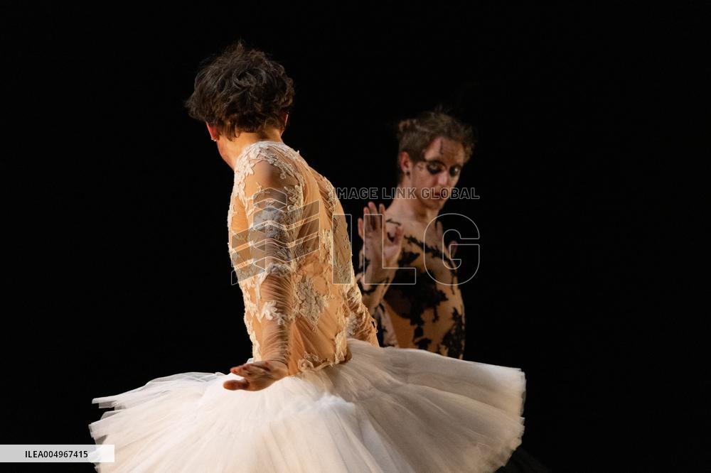 Swan Lake from Florence Caillon - France