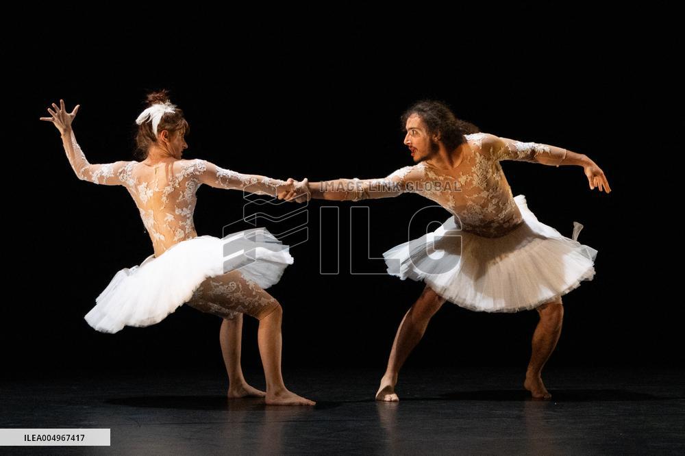 Swan Lake from Florence Caillon - France