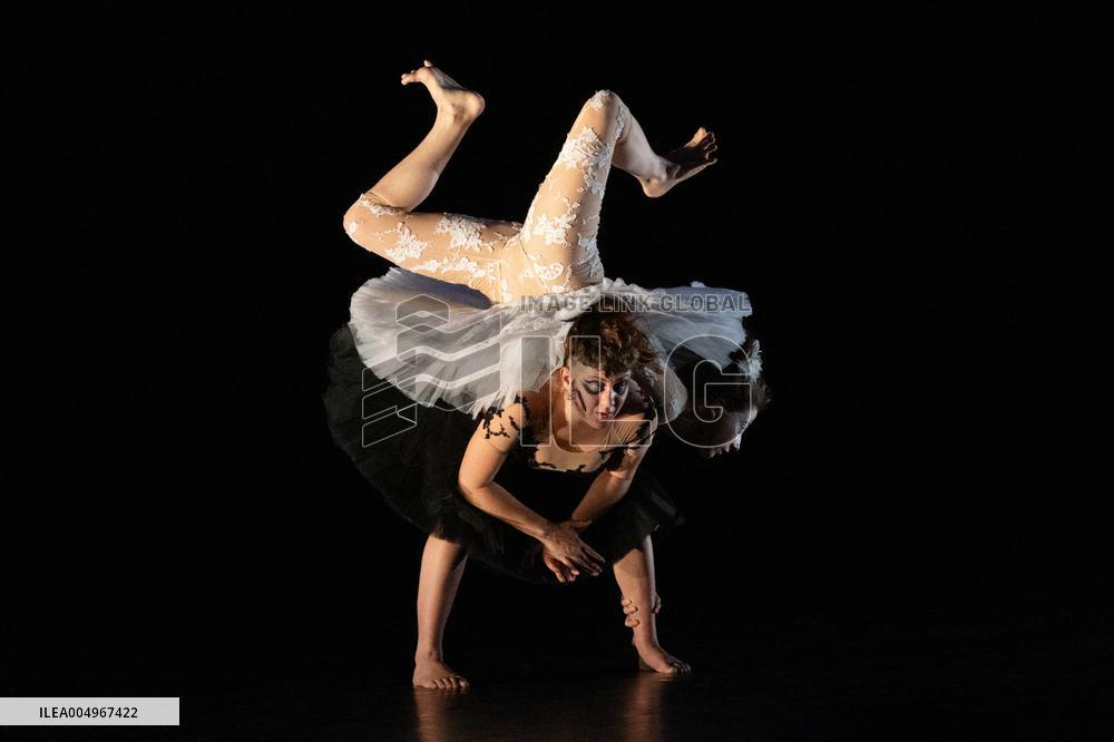 Swan Lake from Florence Caillon - France