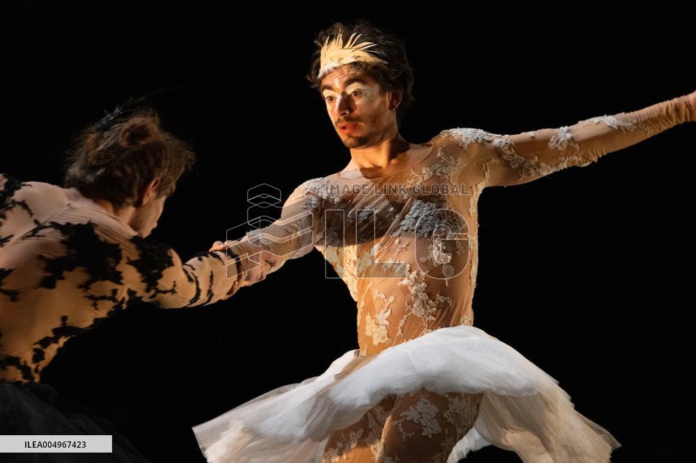 Swan Lake from Florence Caillon - France