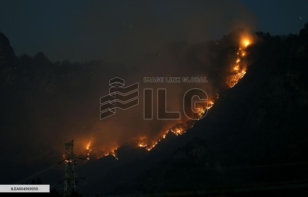 Forest fire on Mt. Myogi in eastern Japan