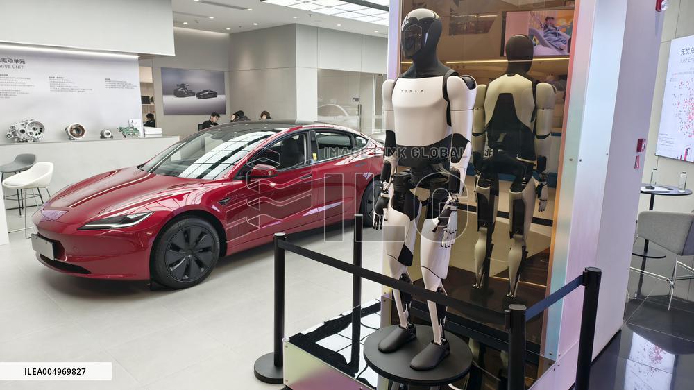 Tesla Humanoid Robot Optimus