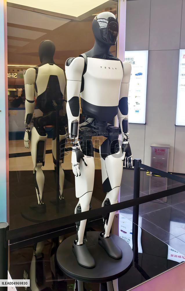 Tesla Humanoid Robot Optimus