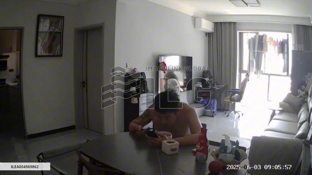 China: Clever Border Collie Tricks Owner to Steal Fried Rice