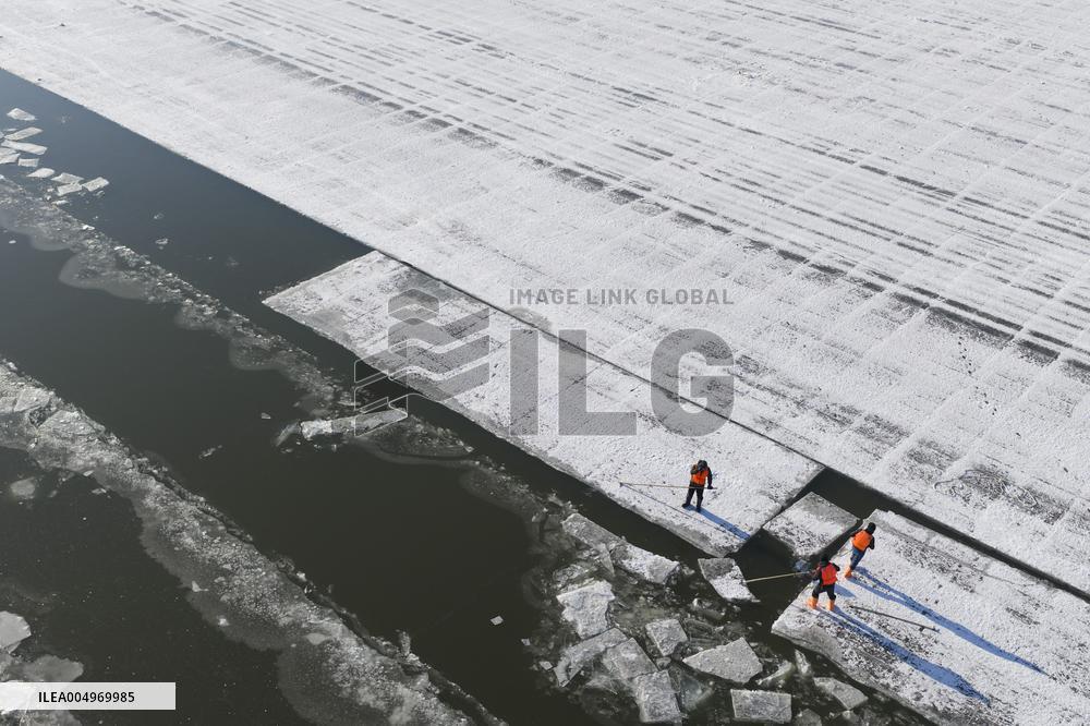 Ice Harvesting for The Ice City of Harbin - China