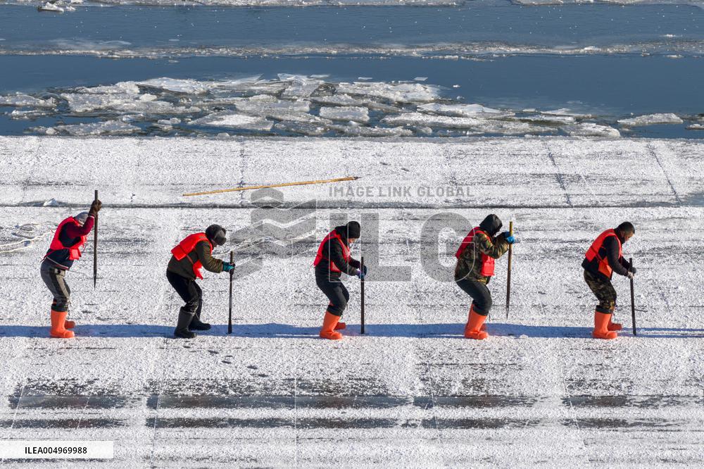 Ice Harvesting for The Ice City of Harbin - China