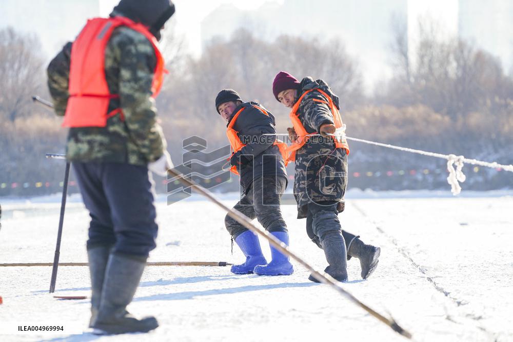 Ice Harvesting for The Ice City of Harbin - China