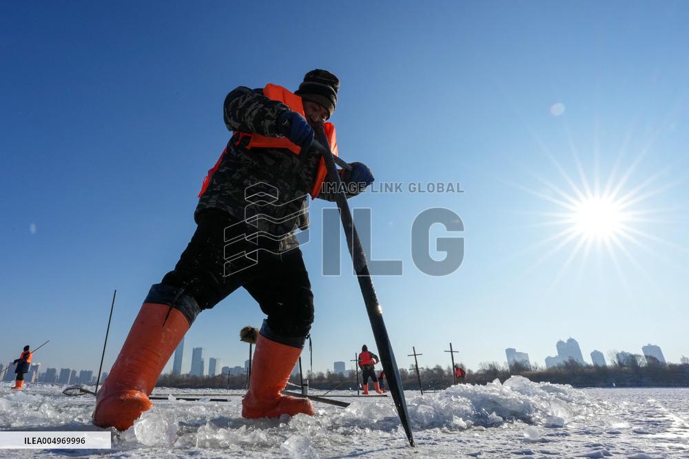 Ice Harvesting for The Ice City of Harbin - China