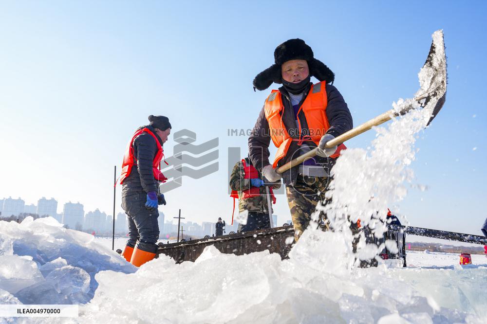 Ice Harvesting for The Ice City of Harbin - China