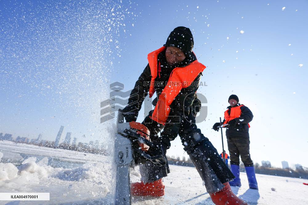 Ice Harvesting for The Ice City of Harbin - China